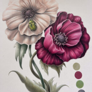 Matite & Tulipani - l’illustrazione naturalistica: reinterpretare la natura in una immagine.
